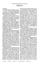 Load image into Gallery viewer, Biblia RVR60 Tamaño manual Letra grande - Tapa dura tela