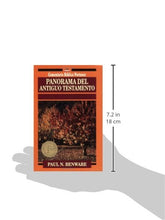 Cargar imagen en el visor de la galería, Panorama del Antiguo Testamento