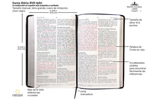 Cargar imagen en el visor de la galería, Biblia RVR60 Letra Grande Tamaño Manual Negro Tierra Santa
