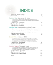 Cargar imagen en el visor de la galería, Teología Visual