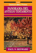 Cargar imagen en el visor de la galería, Panorama del Antiguo Testamento
