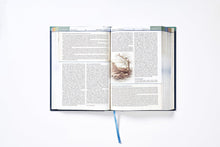 Cargar imagen en el visor de la galería, Biblia Cronológica de Estudio, NBLA, Interior a Cuatro Colores, Tapa Dura