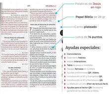 Load image into Gallery viewer, Biblia RVR60 - Letra gigante con índice - Negra