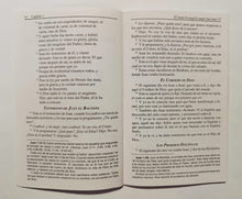 Load image into Gallery viewer, Evangelio de Juan Agua Viva