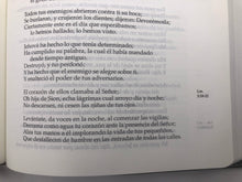 Load image into Gallery viewer, La Biblia en orden cronológico RV60 (Imitación Piel)