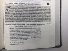Load image into Gallery viewer, La Biblia en orden cronológico RV60 (Imitación Piel)