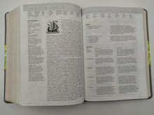 Cargar imagen en el visor de la galería, Biblia de estudio Diario vivir NTV Sentipiel Gris-Verde