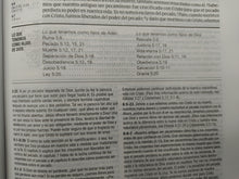 Cargar imagen en el visor de la galería, Biblia de estudio Diario vivir NTV Sentipiel Gris-Verde