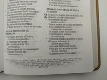 Cargar imagen en el visor de la galería, Biblia Ultrafina Letra Gigante Beige NBLA