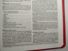 Cargar imagen en el visor de la galería, Biblia NTV Edición Agape Roja