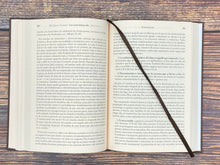 Cargar imagen en el visor de la galería, La Victoria sobre el Pecado