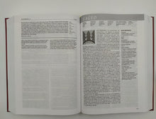 Cargar imagen en el visor de la galería, Biblia de Estudio Diario Vivir Tapa Dura RVR60