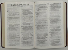 Load image into Gallery viewer, La Biblia de Promesas Letra Grande Piel especial Café