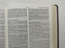 Load image into Gallery viewer, La Biblia de Promesas Letra Grande Piel especial Café