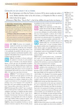 Cargar imagen en el visor de la galería, Biblia de estudio Mundo Hispano (Piel Europea)