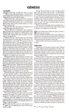 Cargar imagen en el visor de la galería, Nueva Biblia al Día económica (NBD)