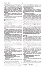 Cargar imagen en el visor de la galería, Nueva Biblia al Día económica (NBD)