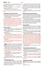 Cargar imagen en el visor de la galería, Nueva Biblia al Día económica (NBD)