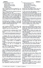 Load image into Gallery viewer, Biblia de Las Américas-Bilingue (LBLA-NASB) - Tapa Dura