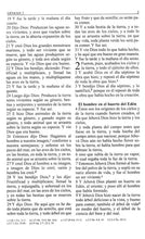 Cargar imagen en el visor de la galería, Biblia RVR60 Tamaño Manual Letra Grande con cierre