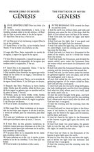 Load image into Gallery viewer, Biblia Bilingüe RVR 1960 - KJV Tamaño Personal imitación Piel