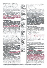 Cargar imagen en el visor de la galería, Biblia NTV Letra Grande