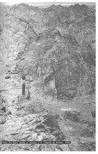 Cargar imagen en el visor de la galería, Nuevo Diccionario Bíblico Ilustrado