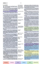 Load image into Gallery viewer, Biblia de Estudio Arco Iris RV 1960 (Piel fabricada)