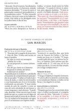 Cargar imagen en el visor de la galería, Biblia RVR60 Letra Grande Tamaño Manual Negro Tierra Santa