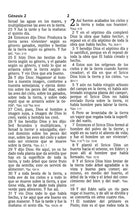 Load image into Gallery viewer, La Biblia de las Américas Imitación Piel