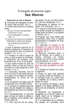 Load image into Gallery viewer, La Biblia de las Américas Imitación Piel