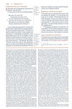 Load image into Gallery viewer, Biblia NBLA Gracia y Verdad Tapa Dura