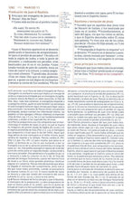 Cargar imagen en el visor de la galería, Biblia de Estudio NBLA Gracia y Verdad Café