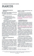 Load image into Gallery viewer, Biblia Ultrafina Letra Grande Beige NBLA