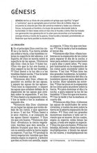 Cargar imagen en el visor de la galería, Biblia Tamaño Compacto Tapa Dura Tela Gris NBLA