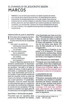 Cargar imagen en el visor de la galería, Biblia Tamaño Compacto Tapa Dura Tela Gris NBLA