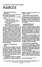 Cargar imagen en el visor de la galería, Biblia NBLA Económica Rústica Letra Grande