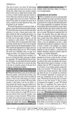 Cargar imagen en el visor de la galería, Biblia de promesas para niños RVR60 (Nueva edición)