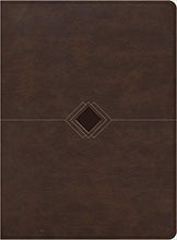 Load image into Gallery viewer, Biblia cronológica RVR60 día por día símil piel marrón | Biblias en Colombia | B&H Español