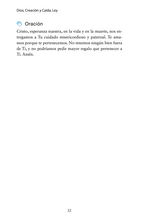 Cargar imagen en el visor de la galería, El Catecismo de la Nueva Ciudad