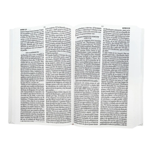 Load image into Gallery viewer, Biblia RV60 Eco Flex Rosada floral
