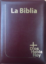 Cargar imagen en el visor de la galería, Biblia Dios habla hoy, Vino, Letra Gigante

