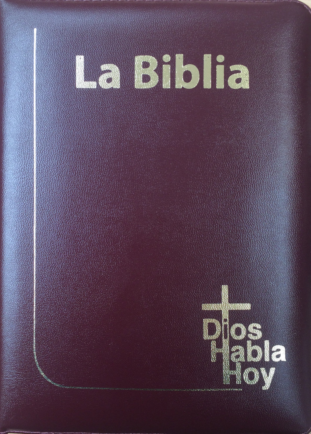 Biblia Dios habla hoy, Vino, Letra Gigante