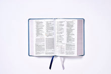 Load image into Gallery viewer, Biblia de estudio NBLA - Imitación piel gris
