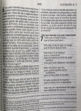 Cargar imagen en el visor de la galería, Biblia Dios habla hoy, Vino, Letra Gigante
