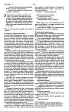 Cargar imagen en el visor de la galería, Biblia NTV Gris / Valor Premium
