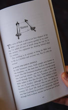 Cargar imagen en el visor de la galería, The Outsider: Ruth: A Retelling
