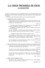 Load image into Gallery viewer, Biblia RVR60 Tamaño Manual -Gris Símil piel con índice y cierre
