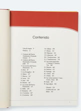 Cargar imagen en el visor de la galería, Introducción al Nuevo Testamento
