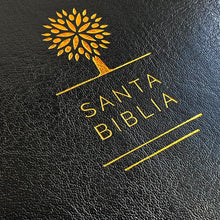 Load image into Gallery viewer, Biblia RVR60 Letra Grande Tamaño Manual Negro Tierra Santa
